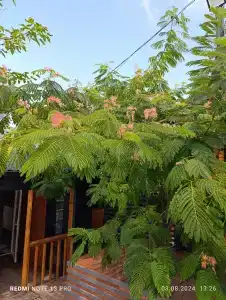 Амбассадор - 8