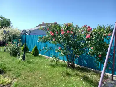 Алые паруса - 35
