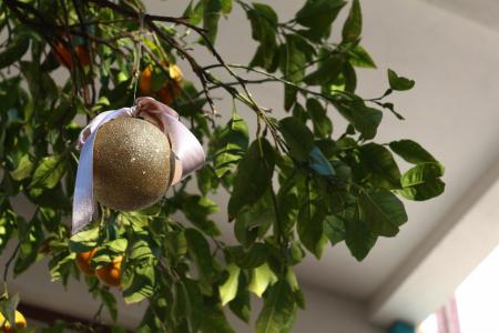 Delight Deluxe Aparts - 48