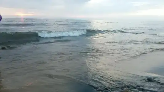 Теремок - 5