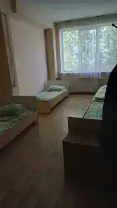 Сова - 10
