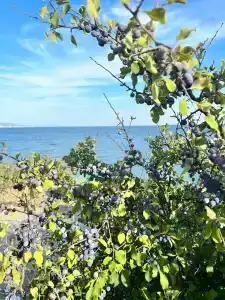 Загородный отель Мысхако - 25