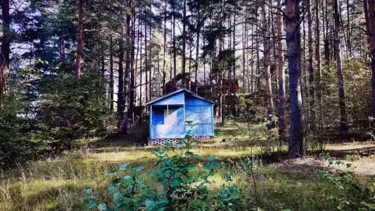 Волна - 98