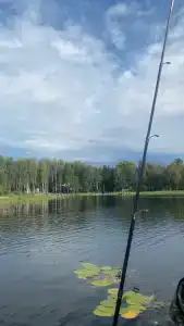 Мыс Черемуховый - 28