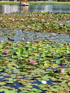 Атлант Экзотик - 6