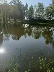 Усадьба - 97