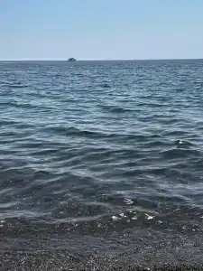 Эллинг Ноги в море - 10