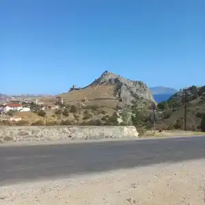 Кипарис - 6