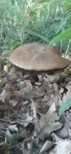 Андрюшкин дом - 3