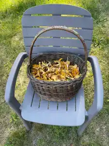 Снетковское Озеро - 69