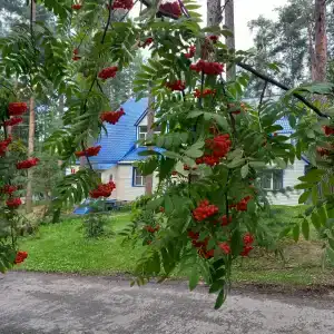 Сфера - 10