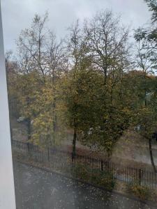 Воскресенский - 27