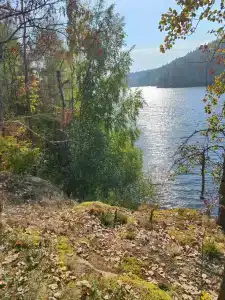 Карельские Лага - 27