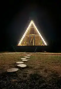 Камыши - 25