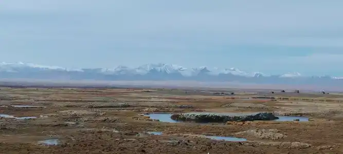 Altay Steppe - 1