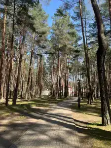 Надзея - 11