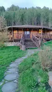 Тайга - 79
