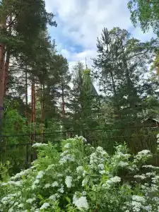 Тарховский - 32