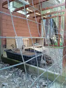 Усадьба на Шамокше - 68