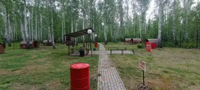Берёзка - 46