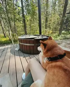 Глэмпинг Shanti Home - 89