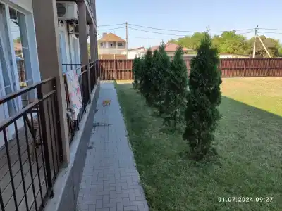 Белый Лотос - 60