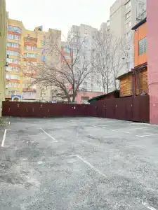 Пальма - 29