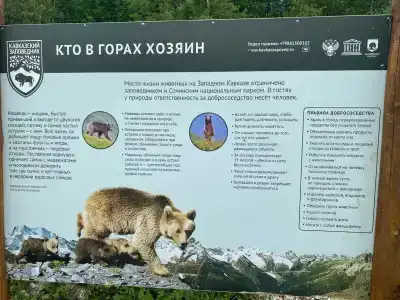 Оштен - 10