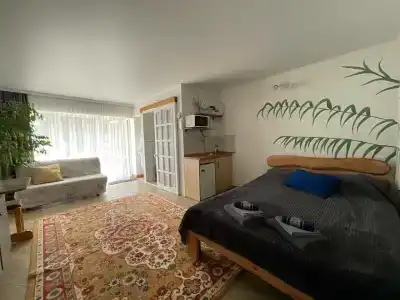 Горный родник - 7