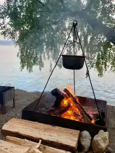 Лесная поляна - 18