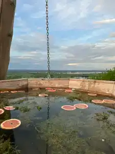 Обсерватория barnnnov - 8