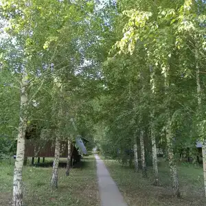 Островок - 40