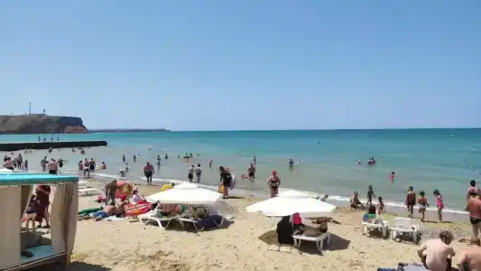 Дом друзей - 93