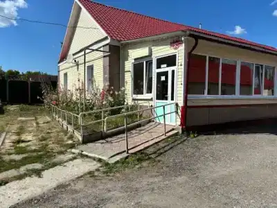 Лилия - 18