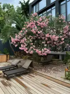 Булгаков - 4