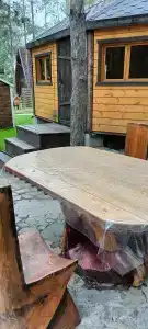 Магия леса - 36