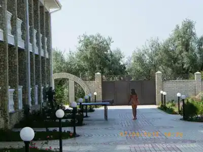 Альбатрос - 33