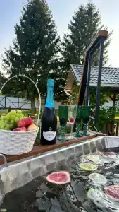 Пенеснарь - 32