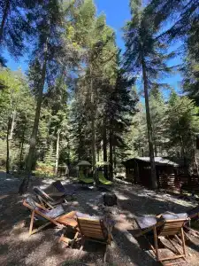 Barn&Wood - 43