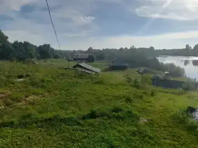 Потапыч - 5