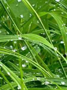 Заимка Узалы - 64