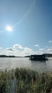 Ladoga Seal - 39