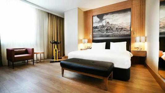Tryp By Wyndham Istanbul Basın Ekspres - 67
