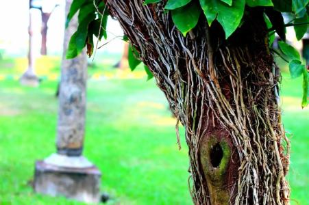 Vgp Golden Beach Resort - 66