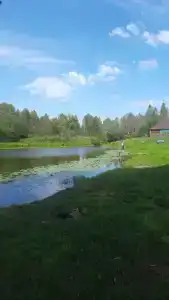 Гостевой дом Бедаревых у Пасечника - 27