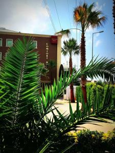 COMFORT BEYLİKDÜZÜ - 11