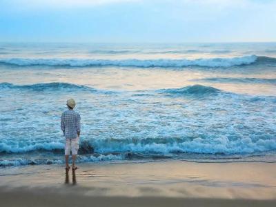 ibis Chennai City Centre - An Accor Brand - 16