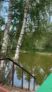Смена - 11