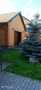 Озон - 19