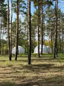 Наше место - 5